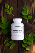 Kankerbos Capsules – Traditional Metabolic & Blood Pressure Support