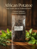 African Potato (Hypoxis) – Natural Immune & Antibiotic Herb (R50)