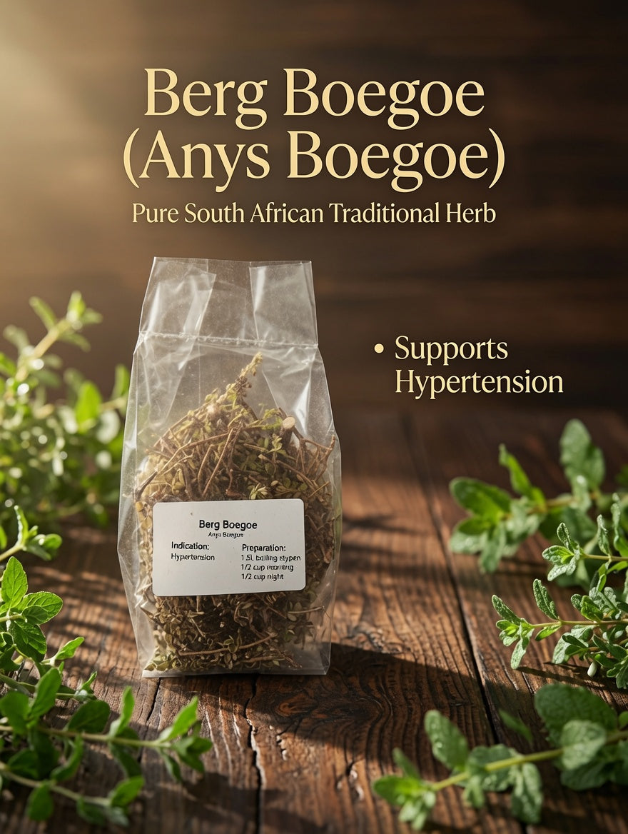 Berg Boegoe (Anys Boegoe) – Traditional Herb for Blood Pressure (R50)