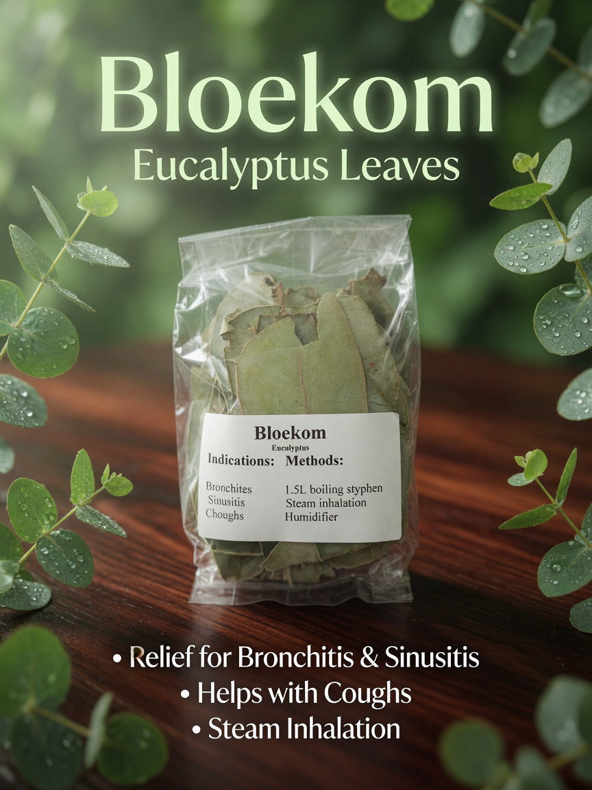 Bloekom (Eucalyptus) – Natural Relief for Coughs, Bronchitis & Sinusitis (R50)