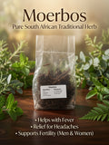 Moerbos – Traditional Herb for Fever, Headaches & Fertility Support (R50)