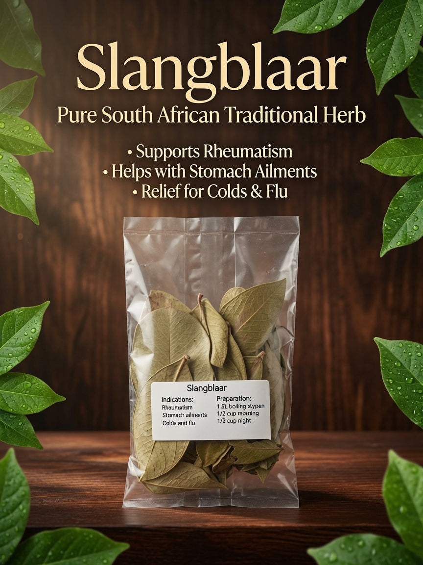 Slangblaar – Traditional Herb for Rheumatism, Stomach & Cold Relief (R50)