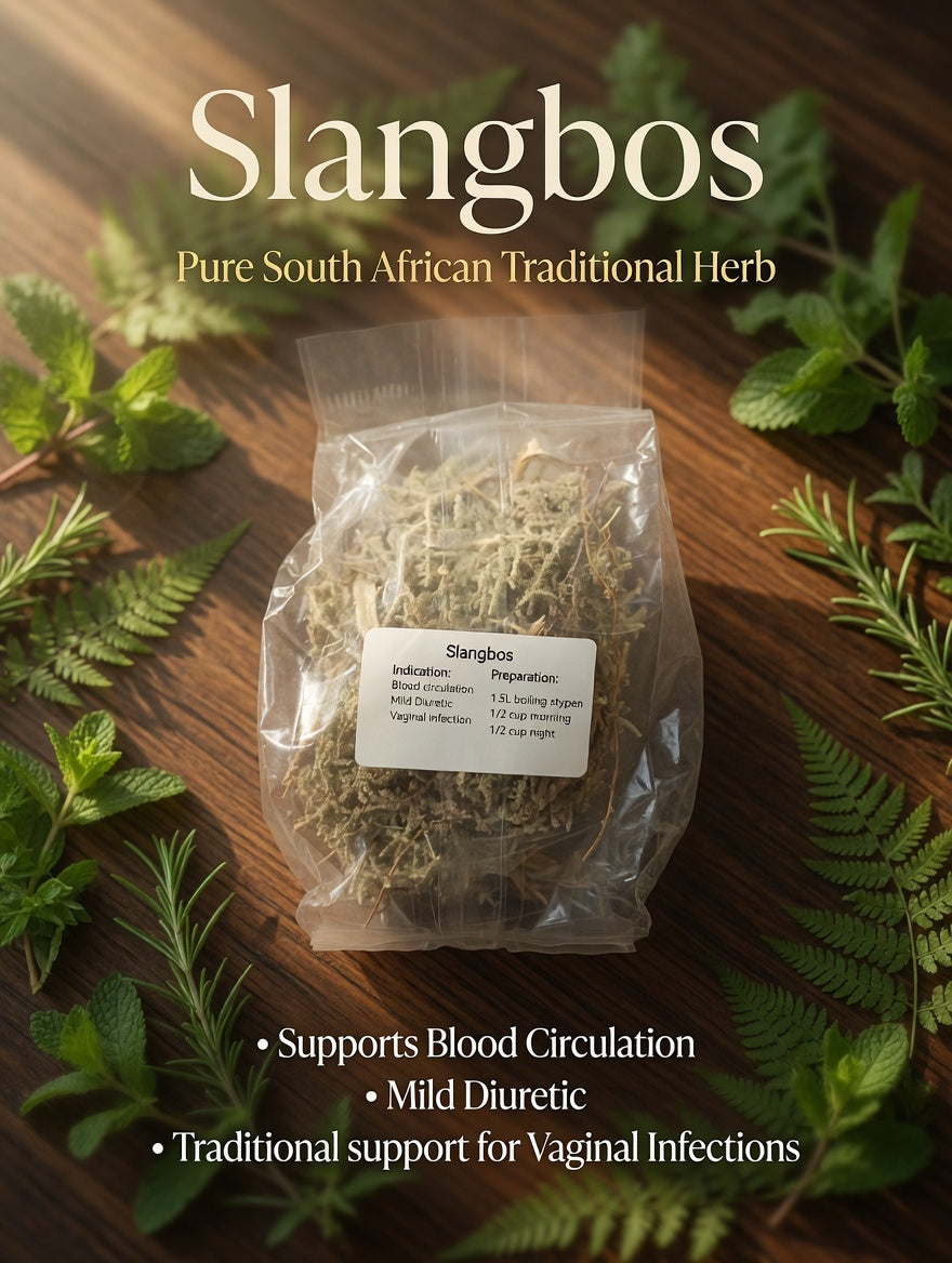 Slangbos – Traditional Herb for Blood Circulation & Wellness (R50)