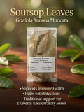 Soursop Leaves (Graviola) – Immune Support, Diabetes & Respiratory Herb (R50)