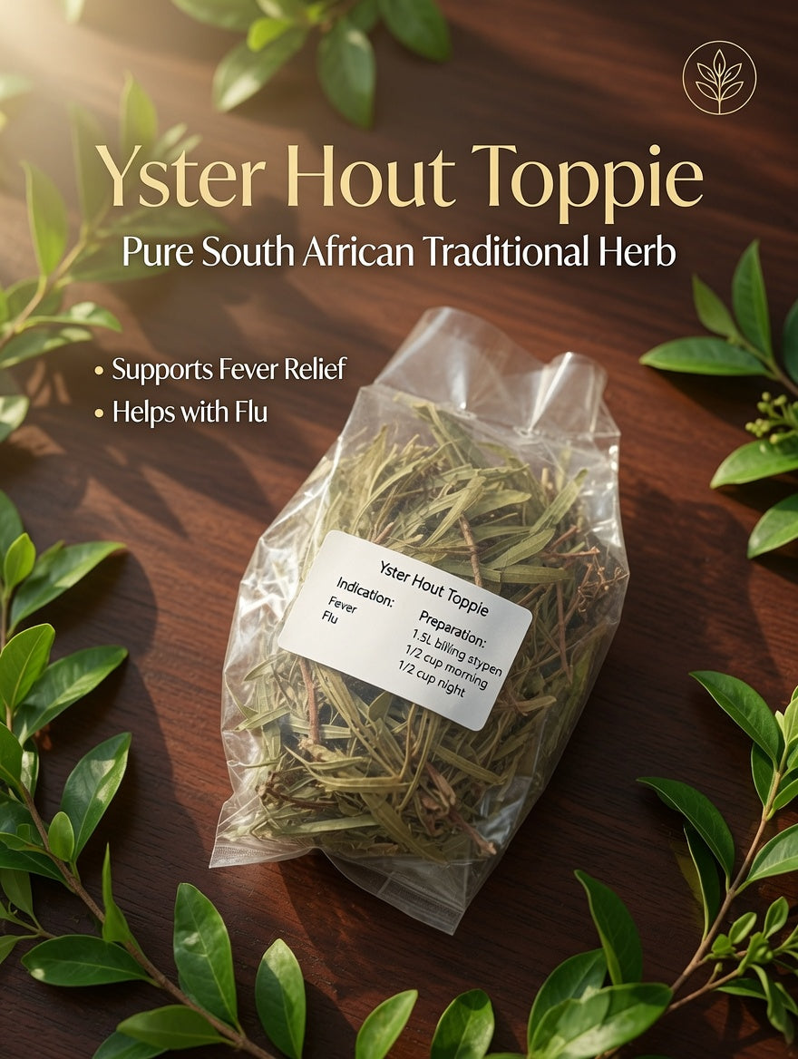 Yster Hout Toppe – Natural Herb for Fever & Flu Relief (R50)