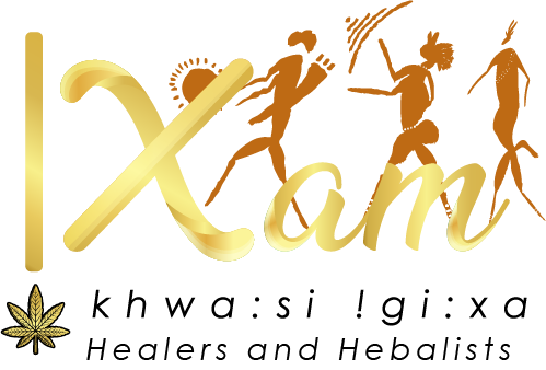 !Xam Bush Doctors 